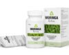 Moringa Actives Review